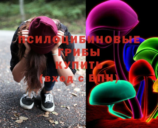 метадон Снежногорск