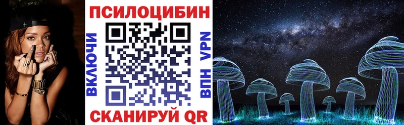 продажа наркотиков  Зубцов  Галлюциногенные грибы Psilocybe 